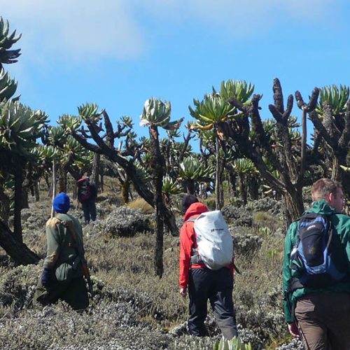 mount-elgon-national-park-1